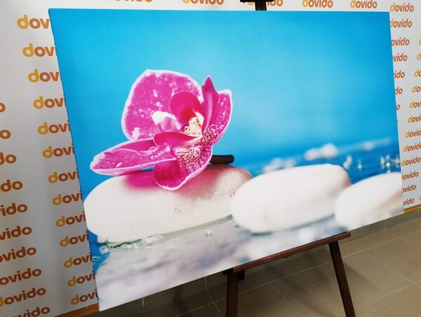 Kép orchidea és Zen kövek