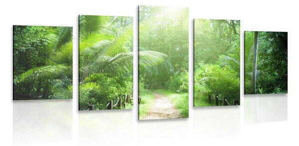 5 részes kép út a Seychel szigeteken