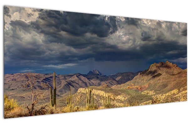 Kép - kaktuszok a természetben (120x50 cm)