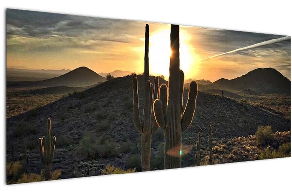 Kép - kaktuszok a napon (120x50 cm)
