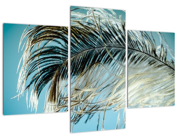 Tollas kép (90x60 cm)