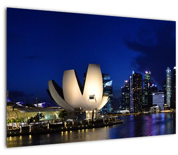 Éjszakai Szingapúr képe (90x60 cm)