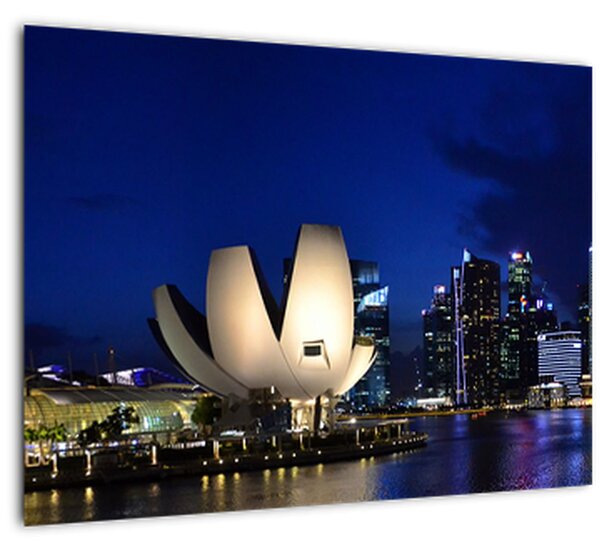 Éjszakai Szingapúr képe (70x50 cm)