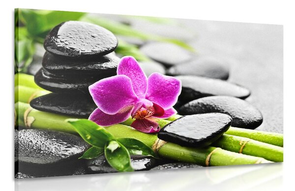 Kép Spa összeállítás lila orchideával