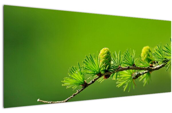 Zöld fenyőtoboz képe (120x50 cm)
