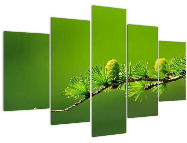 Zöld fenyőtoboz képe (150x105 cm)