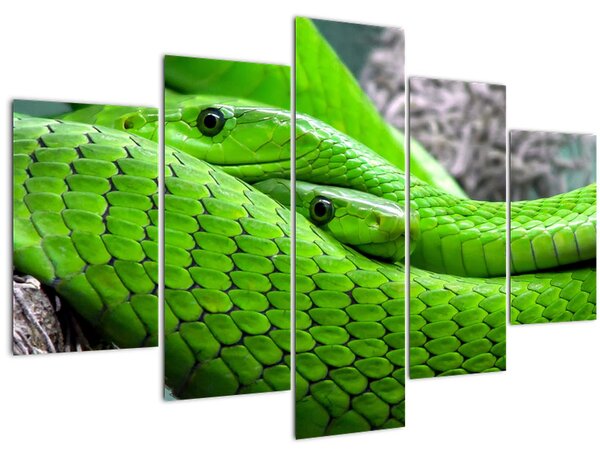 Zöld kígyók képe (150x105 cm)