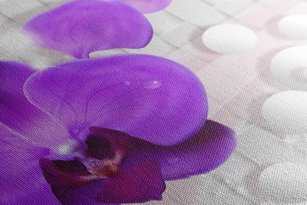 Kép orchidea absztrakt hattéren