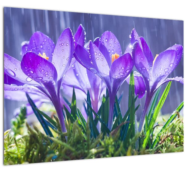 Virágok az esőben képe (70x50 cm)