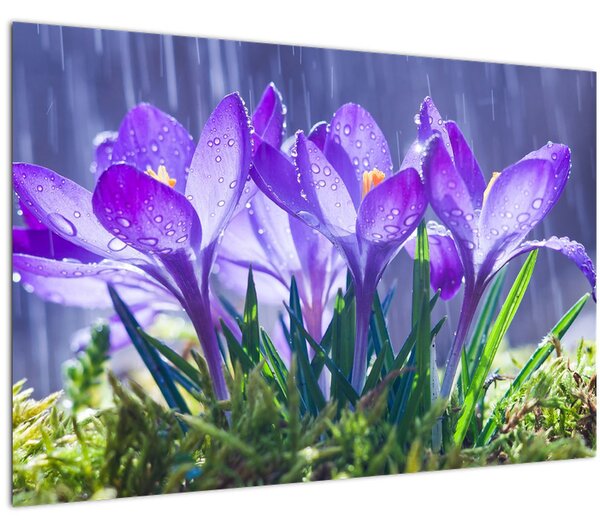 Virágok az esőben képe (90x60 cm)