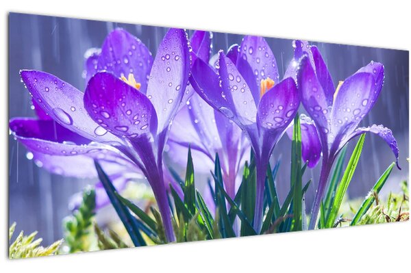 Virágok az esőben képe (120x50 cm)