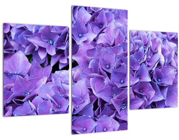Lila virágok képe (90x60 cm)