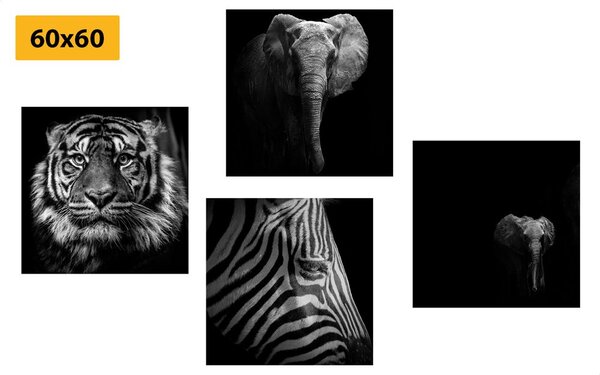 Képszett állatok fekete-fehér változatban