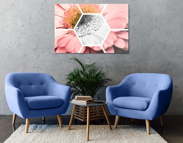 Kép gerbera hatszögekben