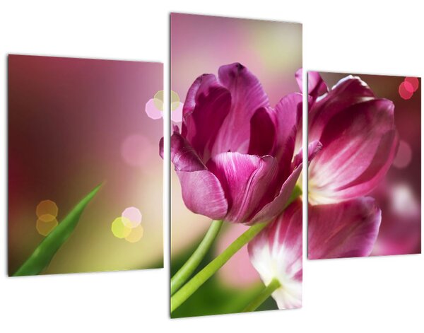 Rózsaszín tulipánok képe (90x60 cm)