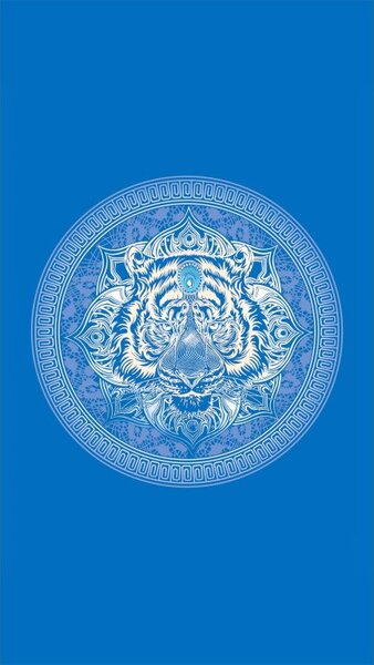 Strandkészlet TIGER – Fürdőlepedő 100×180 cm és poncsó 80×145 cm, kék