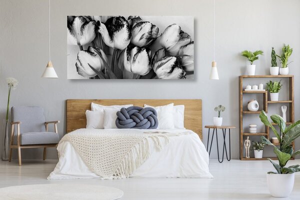 Kép tulipánok tavaszi lehelettel fekete fehérben