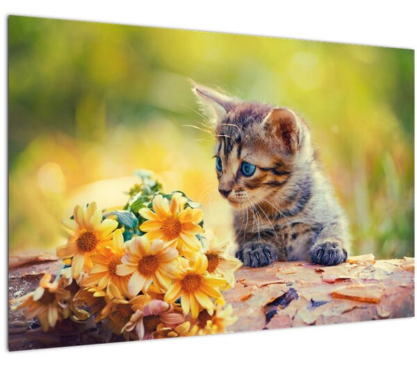 Macska képe ahogy a virágot nézi (90x60 cm)