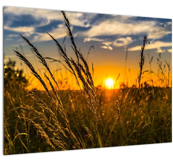 A mező naplementekor képe (70x50 cm)