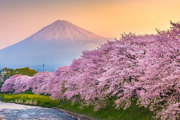 Kép japán Fuji vulkán