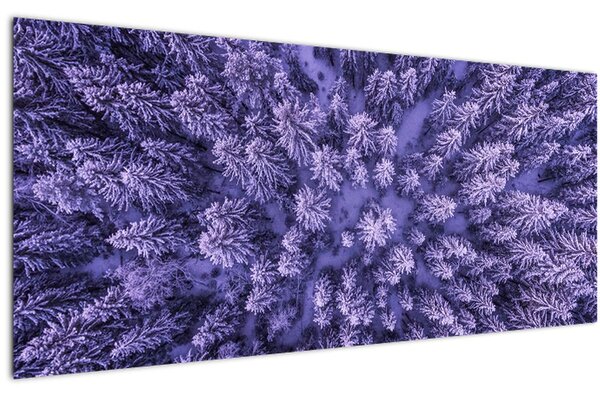Havas fák képe (120x50 cm)