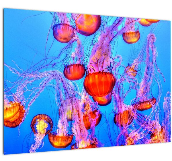 Medúza a tengerben képe (70x50 cm)
