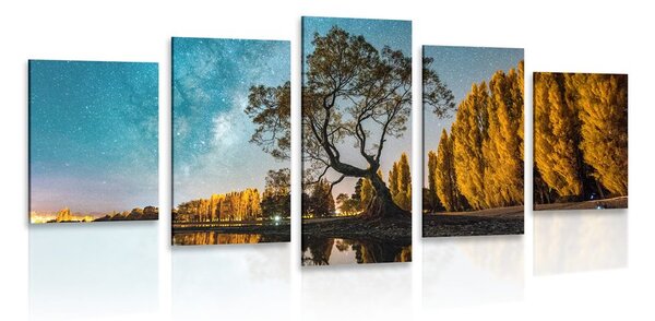5 részes kép fa csillagos ég alatt