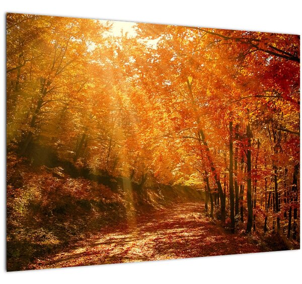 Őszi erdő képe (70x50 cm)