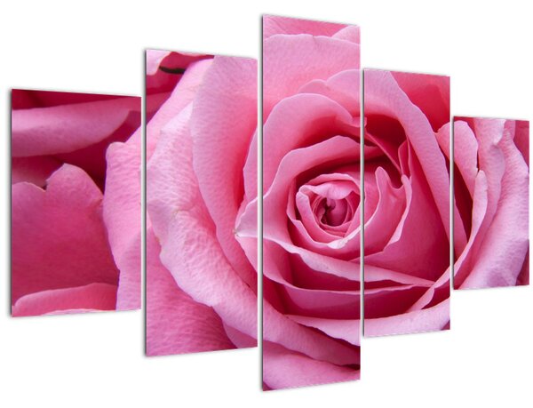 Rózsa képe (150x105 cm)