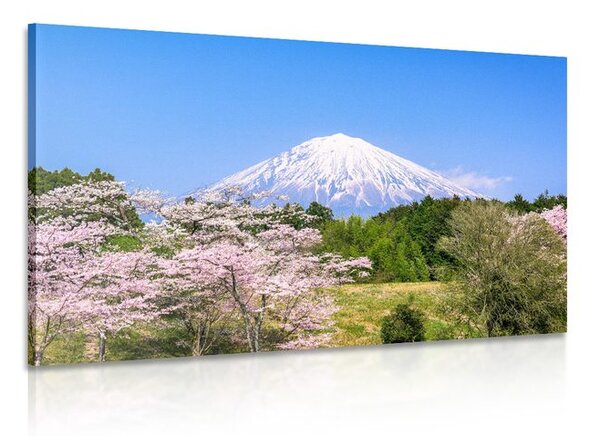 Kép Fuji vulkán