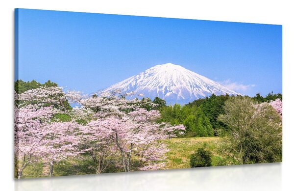 Kép Fuji vulkán