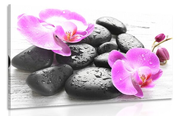 Kép orchidea és fekete kövek csodás összhangja
