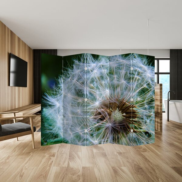 Paraván - Elvirágzott pitypang (210x170 cm)