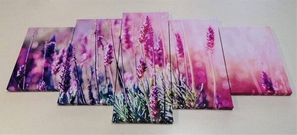 5 részes kép varázslatos levandula virágok