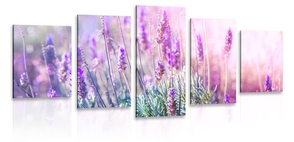 5 részes kép varázslatos levandula virágok