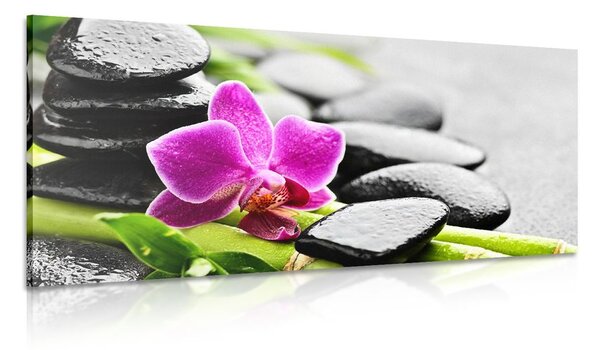 Kép wellness összeállítás lila orchideával