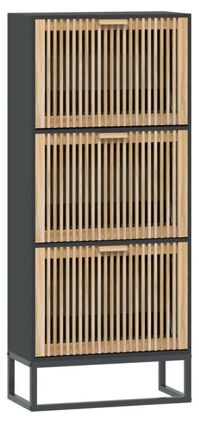 VidaXL Cipősszekrény Fa - 3 Rekeszes - Fekete - 120cm