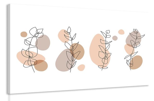 Kép minimalista csendélet növények