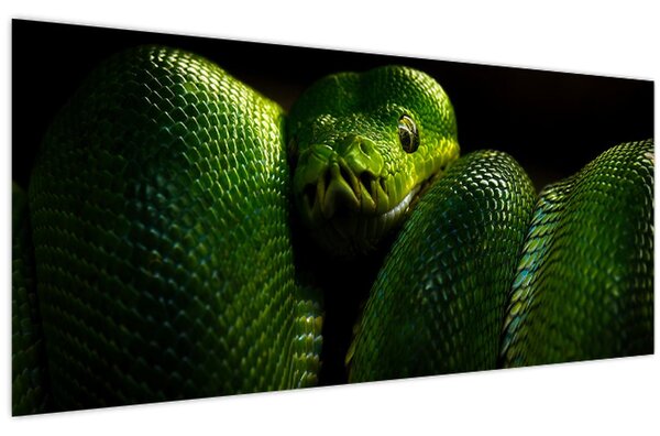 Kép - Zöld kígyó (120x50 cm)
