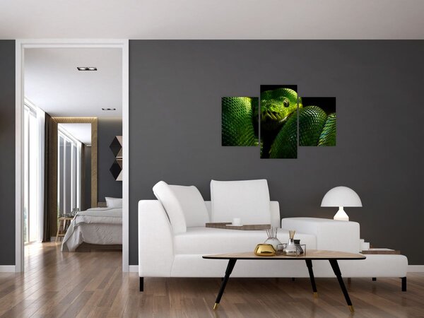 Kép - Zöld kígyó (90x60 cm)