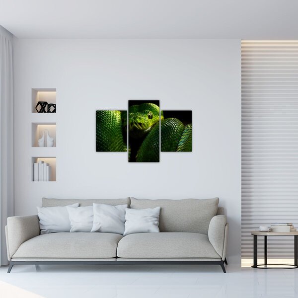 Kép - Zöld kígyó (90x60 cm)