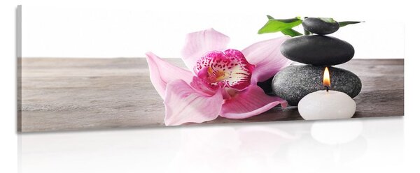 Kép a wellness-összetevők harmonikus összjátéka