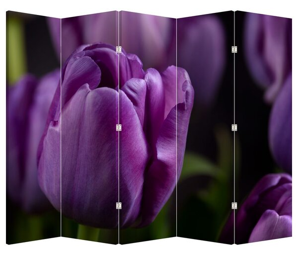 Paraván - Tulipán vírága (210x170 cm)