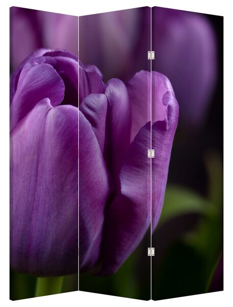 Paraván - Tulipán vírága (126x170 cm)