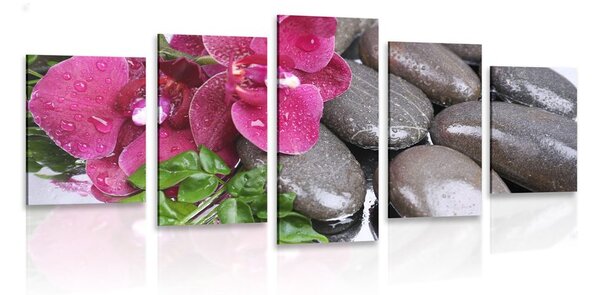5-részes kép virágzó orchidea és welness kövek