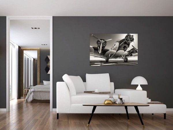 Kép - Történelmi repülőgépek (90x60 cm)