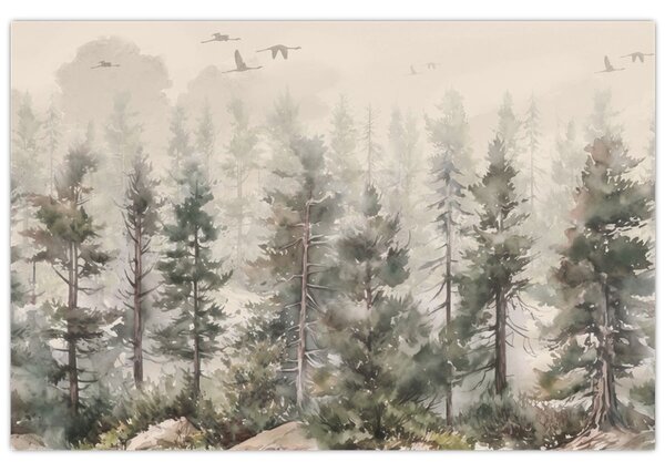 Kép - Fenyőerdő I., akvárium (90x60 cm)