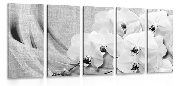 5-részes kép orchidea vásznon fekete fehérben