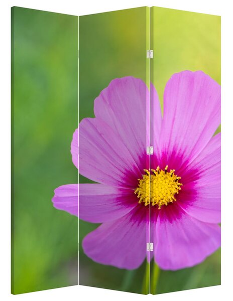 Paraván - réti virág (126x170 cm)