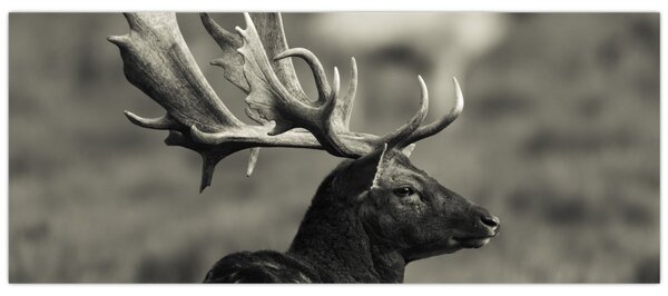 Kép - Szarvas (120x50 cm)